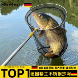Stainless Steel Fishing Net with Telescopic Rod, Foldable Net Head, Ultra-Hard Fishing Net, Complete Set of Fishing Gear