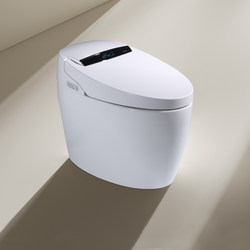 Mu Brand Instant Hot Electric Smart Toilet All-In-One Fully Automatic Flip Cover 110V Remote Control Water Tank Flush Toilet