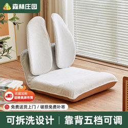 Lazy Sofa Leisure Chair Balcony Folding Bed Backrest Chair Bay Window Cushion Tatami Wabi-Sabi Chair Small Sofa