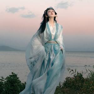 
[Lotus Goddess] Tang Dynasty Hanfu women's large-sleeved shirt straight hem heavy-work embroidery daily super fairy-like suit spring and autumn style