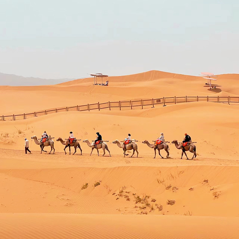 6人纯玩小团 含机票 宁夏旅游腾格里沙漠贺兰山岩画5天4晚跟团游