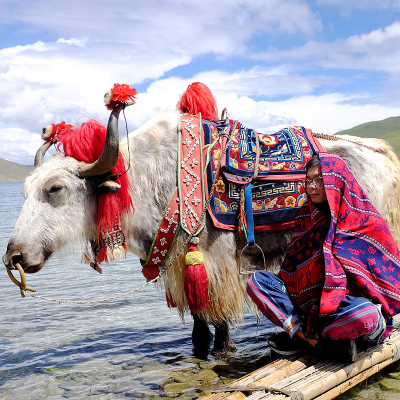 8人纯玩小团 含机票 西藏旅游拉萨林芝羊湖布达拉宫7天6晚跟团游