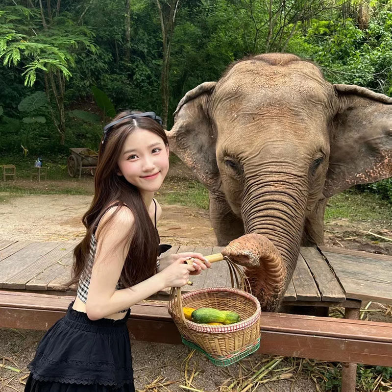 【纯玩含机票】云南西双版纳旅游告庄傣服旅拍花卉园5天4晚跟团游