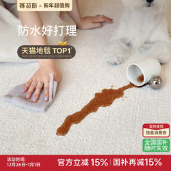 Sai Bao Si Waterproof and Stain-Resistant Carpet, White Moonlight French Light Luxury, High-End Feel, Plain Simple Cream Style for Living Room and Bedroom