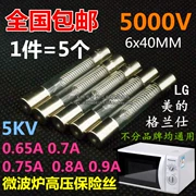 Lò vi sóng ống cầu chì điện áp cao 5000V 5KV 0,65/0,75/0,8/0,9A