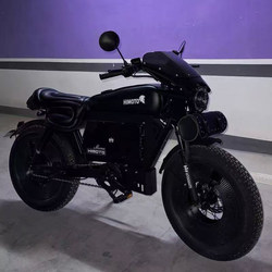 Himoto New National Standard 3C Electric Bicycle, Powered Off-Road Commuting Electric Scooter, Retro Lithium Battery Two-Wheeled Electric Vehicle