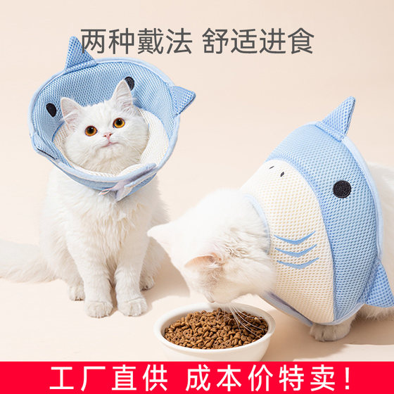 Pet Elizabeth Circle Cat Catalum Caps Dogs Dog Factive Licking Circle Protective Head Set Pet Protective Products