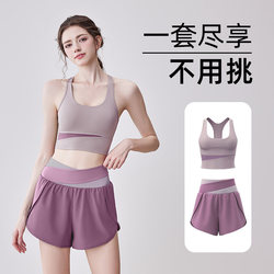Yoga Clothing Set for Women, High-End Fitness Vest, High-Intensity Shock-Proof Underwear, Running Top, Sports Bra for Outer Wear
