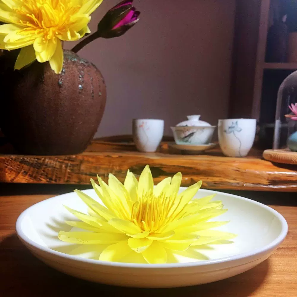 特价台湾莲花茶整朵12朵九品香莲茶荷叶茶观音金莲花新茶茶叶