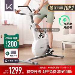 Keep Spinning Bike Mini/Home Fitness Equipment for Weight Loss, Silent Indoor Exercise, Small Fitness Bike