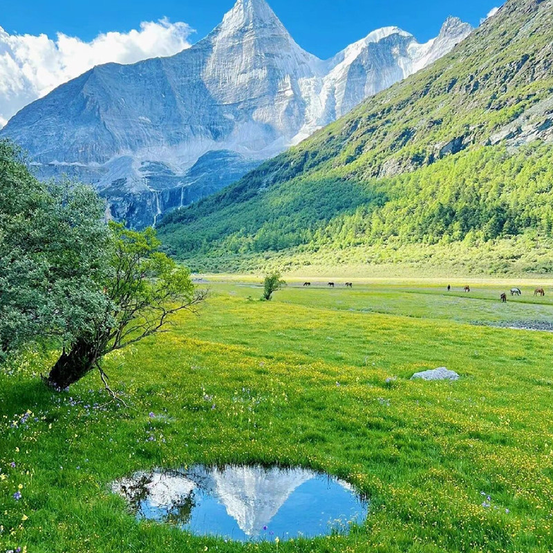 私家团川西稻城亚丁理塘墨石公园新都桥鱼子西7天6晚成都独立成团