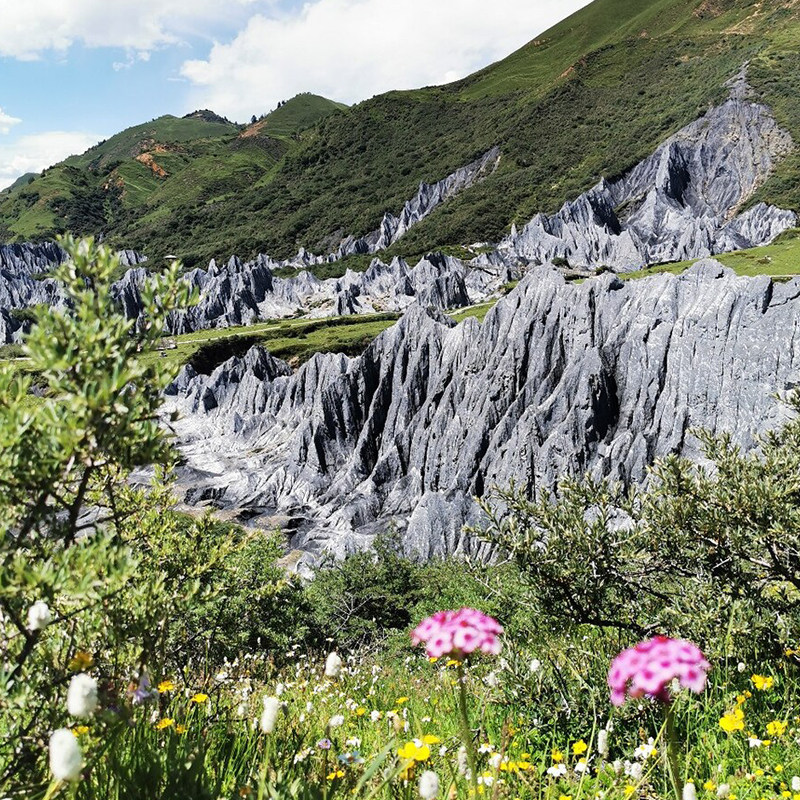 私家团四姑娘山川西小环线5天4晚VIP鱼子西墨石公园含成都2晚住宿