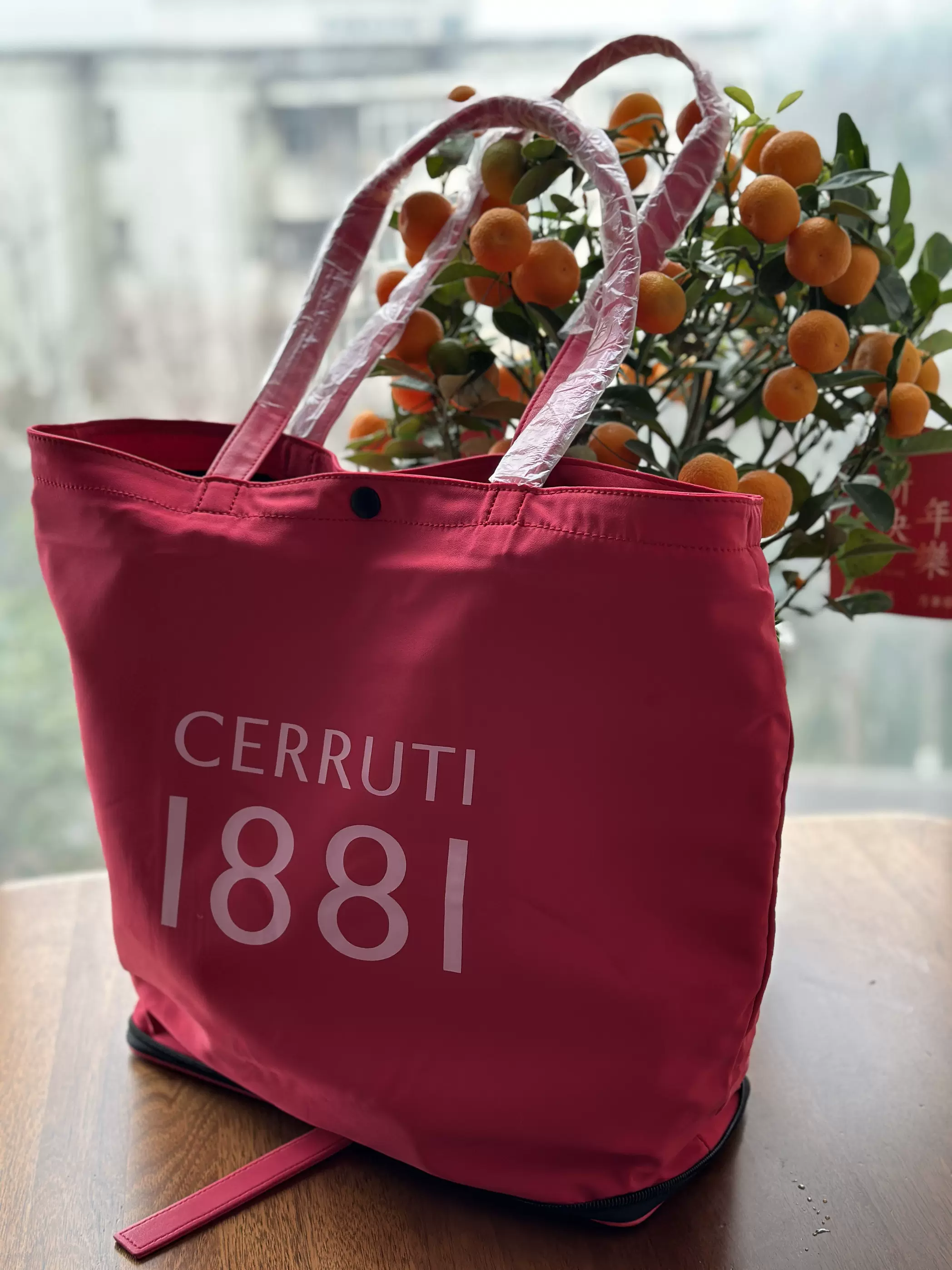 CERRUTI 1881 切瑞蒂1881布面手袋-Taobao Singapore