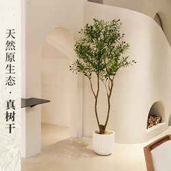 Haihong Yalin Artificial Green Plant Olive Tree Bonsai Decoration Indoor Living Room Fake Tree Floor-Standing Potted Plant Artificial Plant