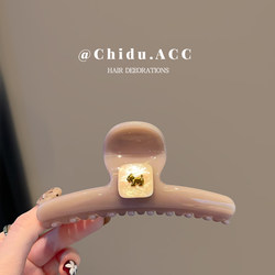 Japanese and Korean Simple Gold Label Dog Hair Clip for Women, Large Shell Claw Clip for Everyday Use, Back of the Head Updo Shark Clip Hairpin