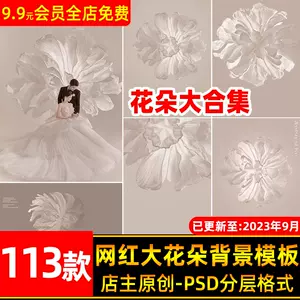 纸花婚纱- Top 100件纸花婚纱- 2024年3月更新- Taobao