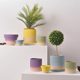Gradient olive green ceramic plain-fired flower pot with holes and tray, water-absorbent and breathable green plant, tiger orchid, dopamine color