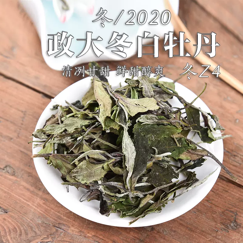 年政大冬白牡丹冬z4 華茶5號品種政和白茶散茶500g