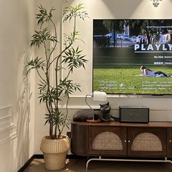 Ten Top-Rated Artificial Green Plants in a Chinese-Style Aesthetic for Indoor Use, High-End Luxury Faux Plants, Wabi-Sabi Style Decorative Ornaments