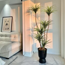 Artificial Plant Dragon Beard Tree Floor-Standing Potted Plant Indoor Large Artificial Green Plant Ornament Living Room Light Luxury Decorative Flower Fake Tree