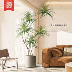 Fake Green Plant Decoration, Simulated Indoor Large Potted Dracaena Plant, Living Room Floor-Standing Ornament, High-End Light Luxury Artificial Flower Plant