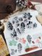Moodtape. Transparent rubber seal cotton butterfly plant perpetual calendar retro hand account material seal rubber chapter
