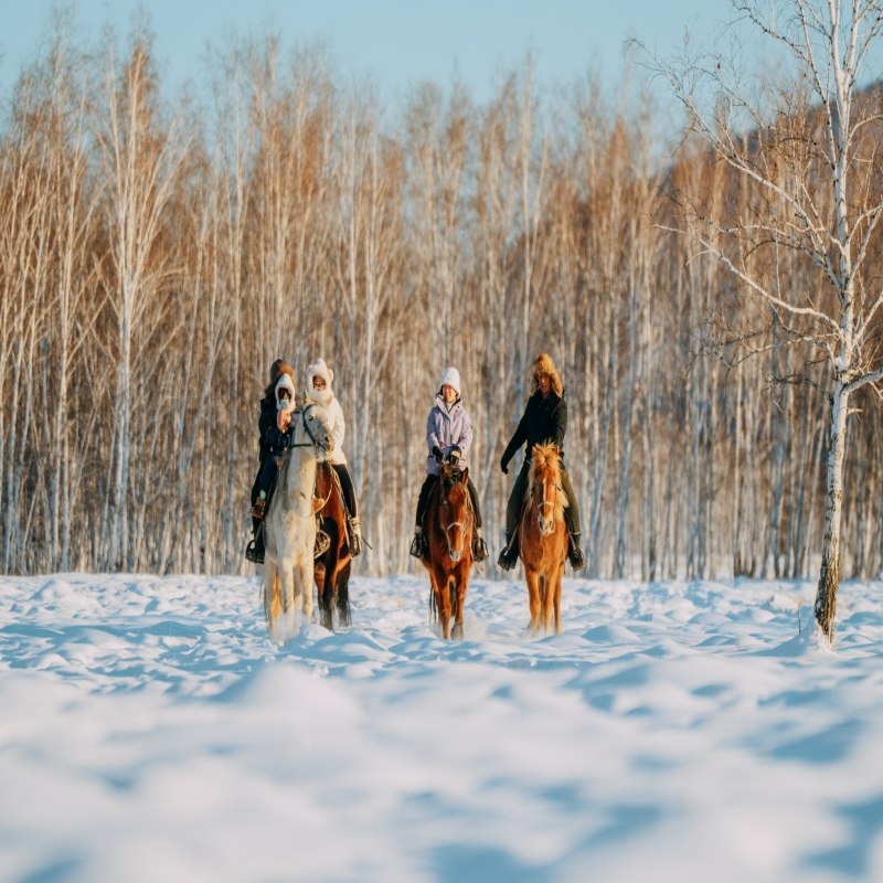 内蒙古冬季呼伦贝尔6天5晚不限时滑雪私家营地沉浸式玩雪森林徒步