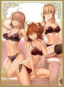 
Anime girl set FATE FGO Gudazi Black SABER Jeanne d'Arc underwear C95 card set card set EW1