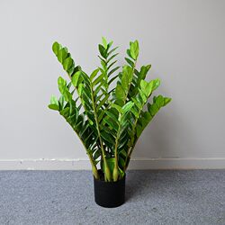 Artificial Green Plant Money Tree Single Branch Potted Plant Office Living Room Decoration Green Housewarming Fortune Tree Bonsai