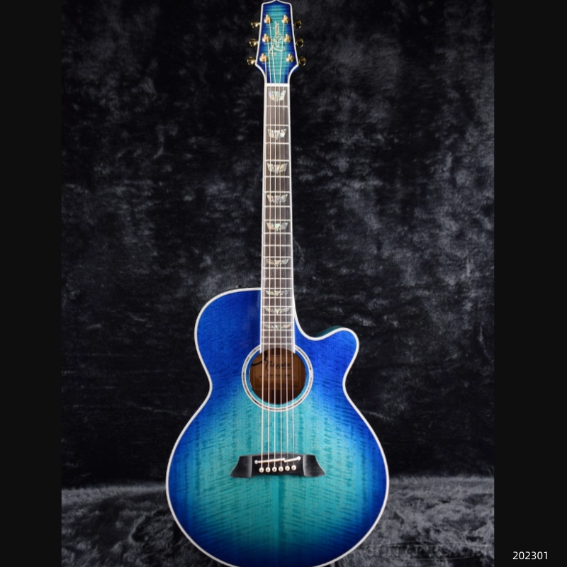 Takamine TDP861C BL 中古