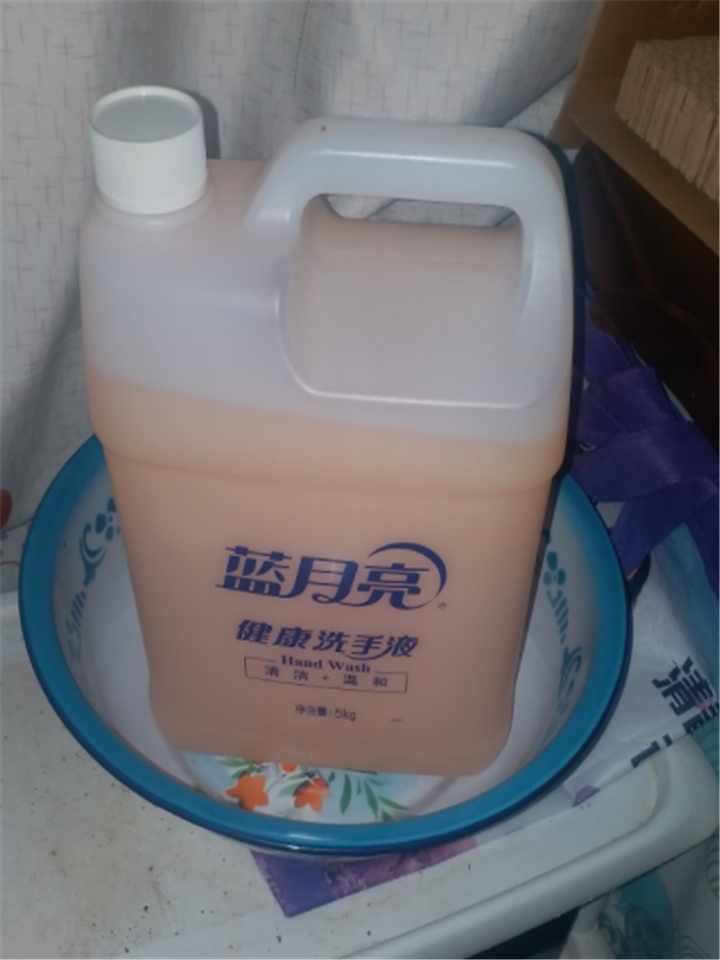 新歆家居  蓝月亮健康洗手液5kg*2