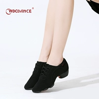 Латинская танцевальная обувь взрослые дамы профессиональная танце