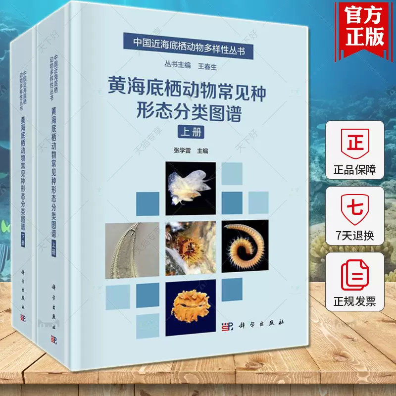 黄海底栖动物常见种形态分类图谱张学雷中国近海底栖动物多样性丛书科学 