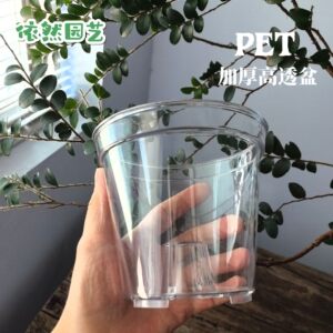 
PET high transparency thickened round mouth Phalaenopsis flower pot hot planting flower pot office desk succulent bulb pot