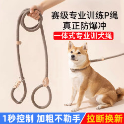 Dog Leash Anti-Escape P-Chain Dog Walking Leash Anti-Breakaway Dog Chain for Medium and Large Dogs Anti-Escape Dog Leash