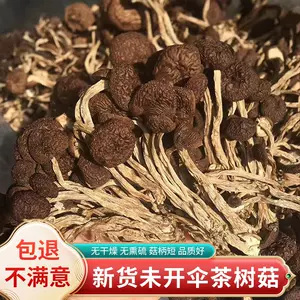 茶樹菇- Top 1000件茶樹菇- 2024年3月更新- Taobao