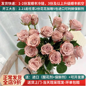 
Cappuccino Rose Rose Kunming Base Direct Shipping Direct Air Shipping Home Flower Arrangement Flowers