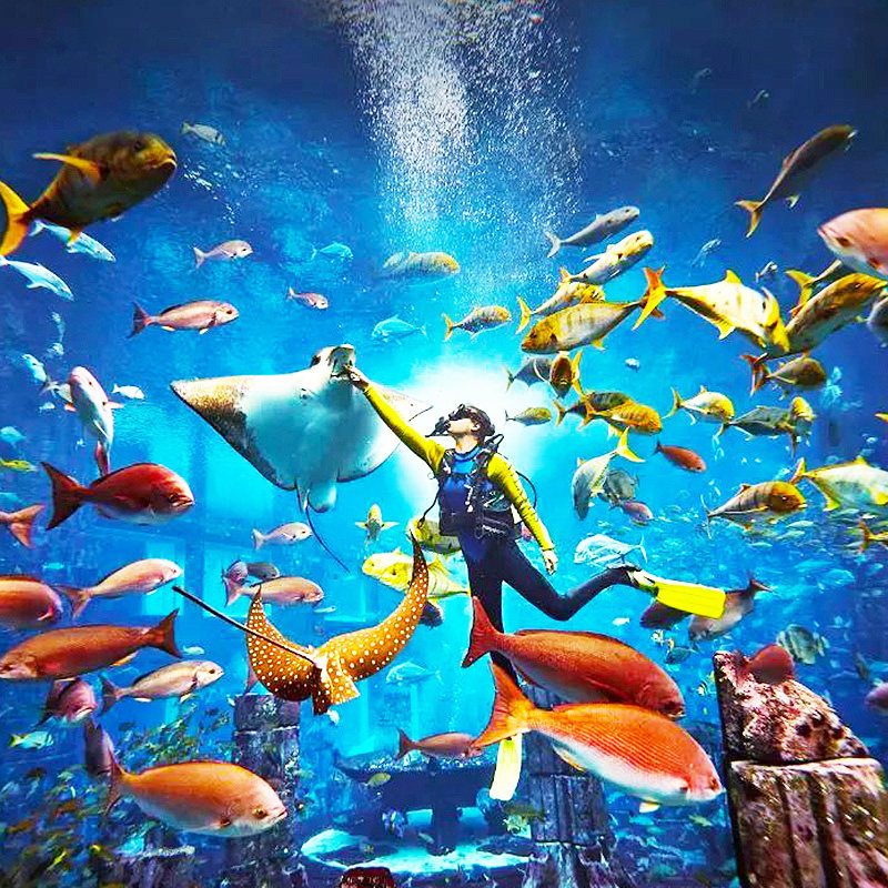 三亚亲子酒店套餐3天2晚亚特兰蒂斯水世界水族馆仁恒皇冠费尔蒙