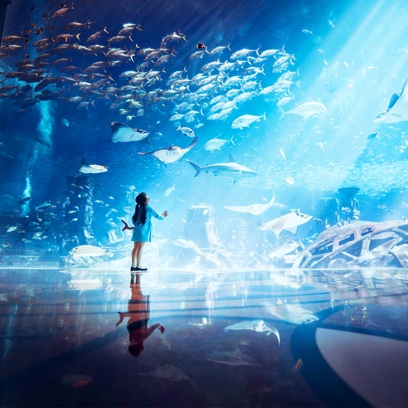 私家团三亚旅游含飞机票5天4晚纯玩蜈支洲岛亲子蜜月爸妈海南旅行