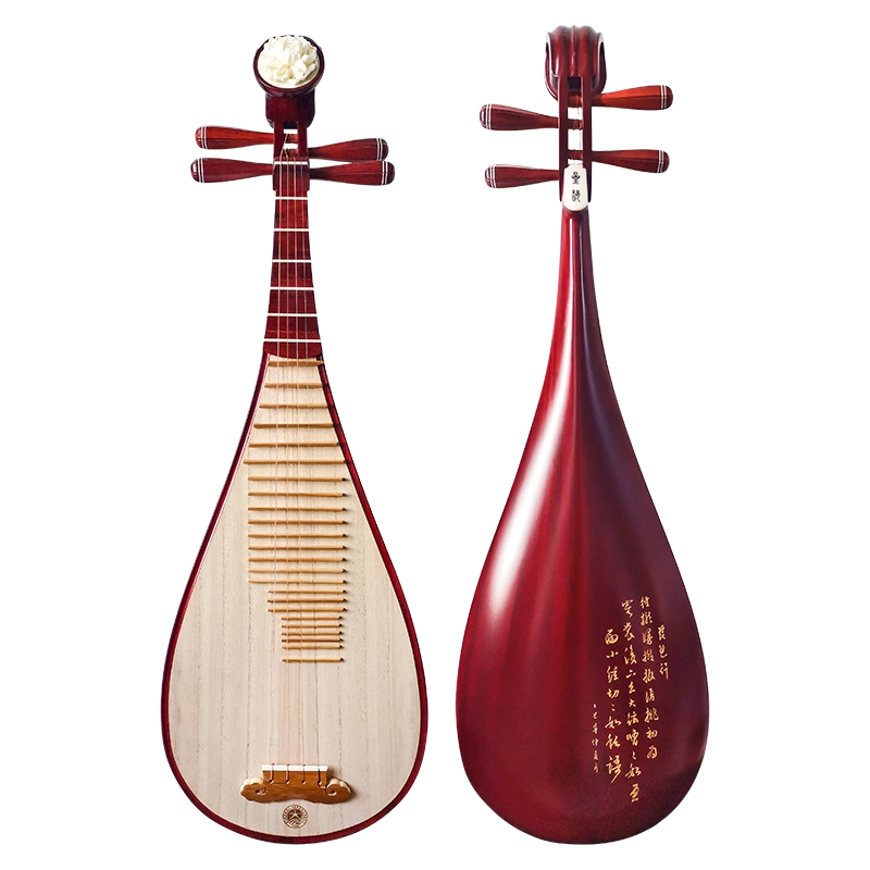 星海專業中阮樂器奧氏黃檀木民族演奏級中阮
