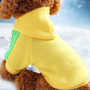 
New ready-made pet size dog clothes, dog sweatshirts, sports cat supplies, autumn and winter manufacturers, high-end cats.5