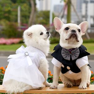 
Dog suit, cat wedding dress, pet dog and cat teddy bear, Pomeranian, French bulldog, small and medium-sized dog dress.7