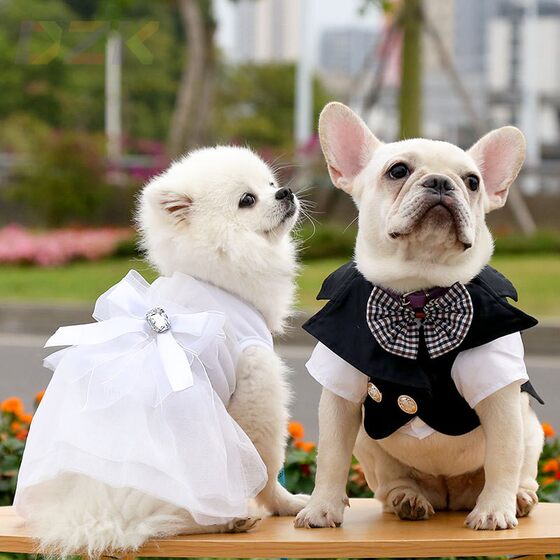 
Dog suit, cat wedding dress, pet dog and cat teddy bear, Pomeranian, French bulldog, small and medium-sized dog dress.7