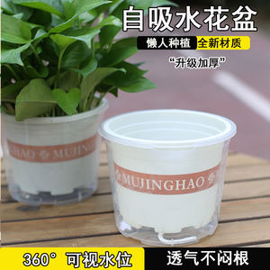
Green ivy flower pot lazy automatic water absorption double-layer plastic pot indoor balcony water-free transparent water storage gallon pot