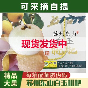 
2026 Suzhou Dongshan White Jade Crown Jade Loquat Fruit Fresh Fruit Pregnant Women Fruit Pipa Fresh Fruit Large Fruit Gift Box