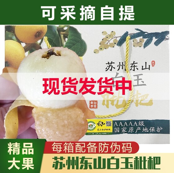 
2026 Suzhou Dongshan White Jade White Sand Loquat Fruit Fresh Fruit Pregnant Women Fruit Pipa Fresh Fruit Large Fruit Gift Box