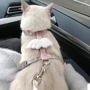 Cat traction rope can adjust the cat rope cute wings, wings, kittens to go out for special chest back with pet dog supplies