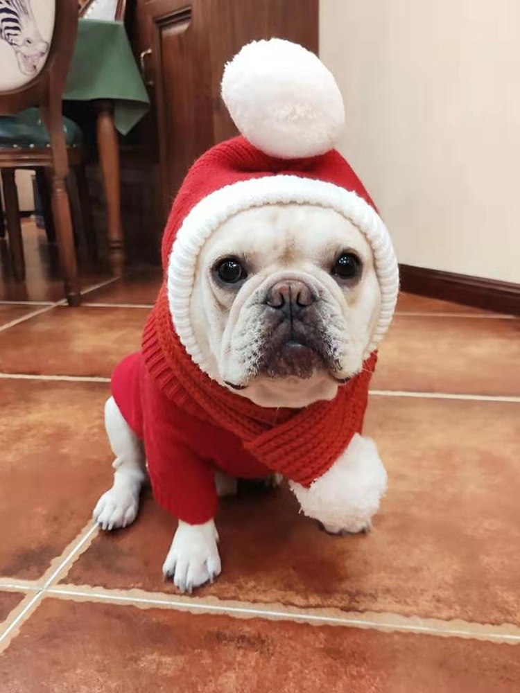 狗狗圣诞搞笑头套围巾