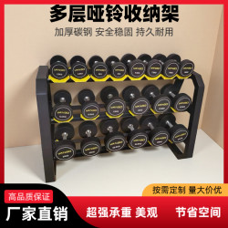 Gym Commercial Dumbbell Rack Home Storage Rack Thickened Carbon Steel American-Style Gym Dumbbell Rack Vertical Double-Layer Dumbbell Rack
