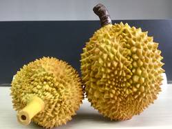 Simulated Durian Model, Fake Durian, Cantaloupe, Plastic Golden Pillow Model, Photography Props, Fruit Shop Display